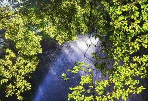 A small waterfall in the forest photo