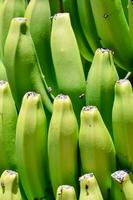 Close up of bananas photo