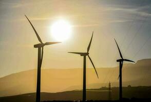 Field with windmill photo