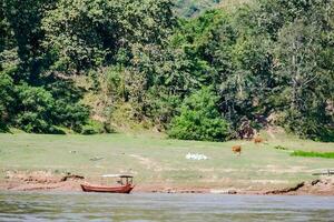 A journey on the river photo