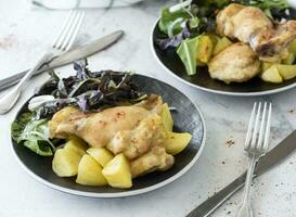 Roasted chicken white meat photo