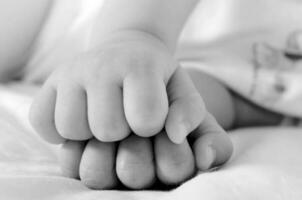 Baby hands close-up photo