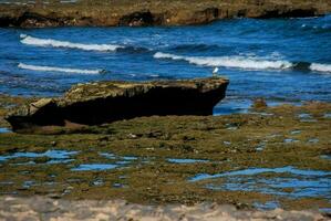 Scenic view of the shore photo