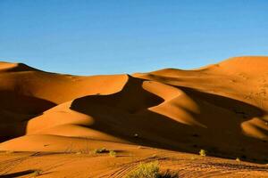 Scenic dunes view photo