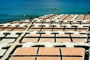 Salt Flats in the Canary Islands photo