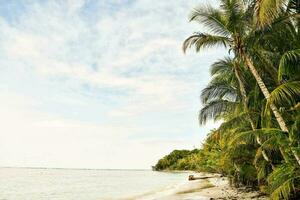 Scenic beach view photo