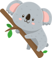 Cartoon cute koala Character png