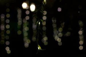 Bokeh and Leaf Garland photo