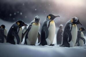 penguins playing in the snow. photo