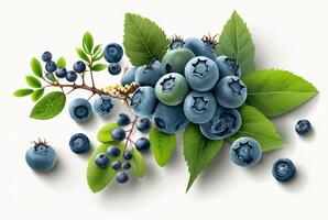 blueberries with leaves isolated on white background. photo