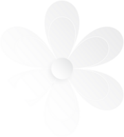 blanc fleur, élément de floral papier couper. papier Couper de fleur forme. icône de Valentin jour, cadeau, ornement, l'amour et printemps symbole. illustration de floral. png