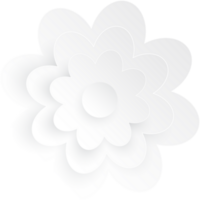 blanc fleur, élément de floral papier couper. papier Couper de fleur forme. icône de Valentin jour, cadeau, ornement, l'amour et printemps symbole. illustration de floral. png