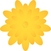 Yellow flower, Element of floral paper cut. Paper cut of flower shape. Icon of valentine day, gift, ornament, love and spring symbol. Illustration of floral. png