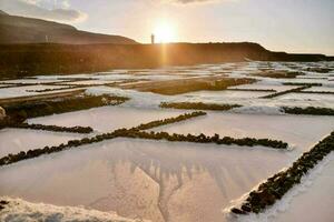 salinas en las islas canarias foto