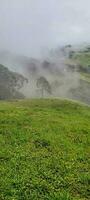 view of the mountains of minas Gerais Brazil photo