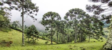 view of the mountains of minas Gerais Brazil photo