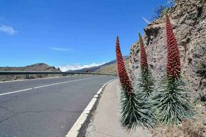 Scenic road view photo