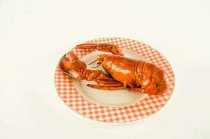 Lobster on a plate photo