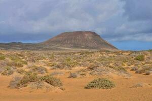 Landscape in Lanzarote Tropical Volcanic Canary Islands Spain photo