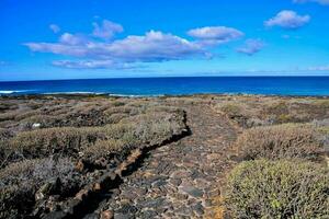 Landscape in Lanzarote Tropical Volcanic Canary Islands Spain photo