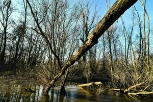 Scenic river view photo