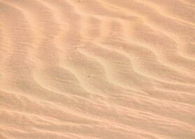 Sand background texture photo