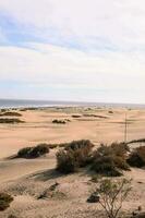 Beach sand dunes photo