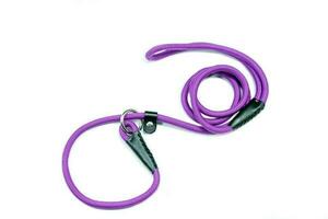 Purple dog leash for training on a white background. photo