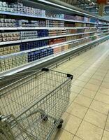 Shopping trolley at the counter with dairy products in the supermarket photo