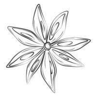 Outline drawing of an anise star. Spicy spice for coffee or mulled wine. Sticker. Icon. Isolate. EPS vector