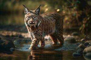 Lynx on the forest AI Generate photo