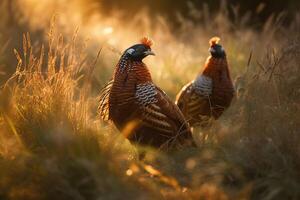 Pheasant on the forest AI Generate photo
