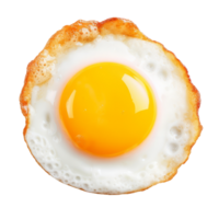 Fried egg isolated. Illustration png