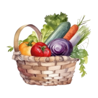 Watercolor organic vegetables. Illustration png