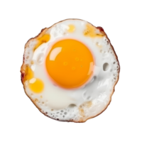 Fried egg isolated. Illustration png