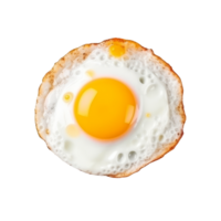 Fried egg isolated. Illustration png