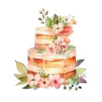 Watercolor cake isolated. Illustration png