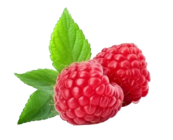 Frais framboise isolé. illustration ai génératif png