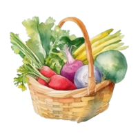 Watercolor organic vegetables. Illustration png