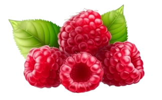 Frais framboise isolé. illustration ai génératif png