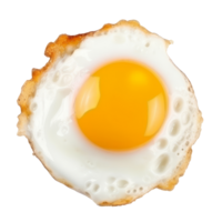 Fried egg isolated. Illustration png