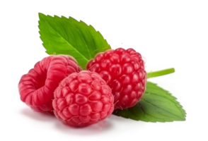 Fresh raspberry isolated. Illustration png