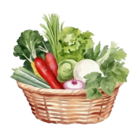 Organic vegetables watercolor. Illustration png