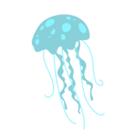 Jellyfish PNG file