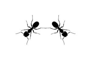 Pair of the Ant Silhouette for Art Illustration, Logo, Pictogram, Website, or Graphic Design Element. Vector Illustration