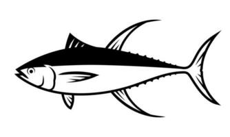 Tuna fish drawing with black blush lines, aquatic animal illustration on white background. vector