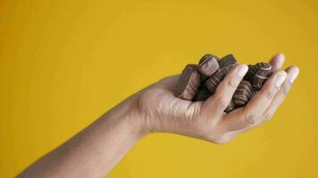 Close up of mans hand holding chocolate cookies video