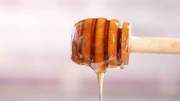 close up of honey pouring from honey comb video