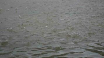 ondulé gouttes de pluie Pause dans flaques d'eau. lourd gouttes de pluie dans le interminable à l'extérieur proche en haut. video