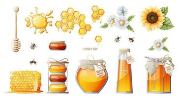 Set of honey products. Jar of honey, honeycombs. Sunflower flowers, daisies. Bees and honey spoon. Suitable for honey shop, stickers, design. vector